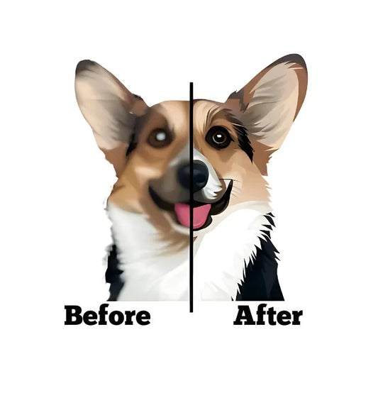 Vector Art Services